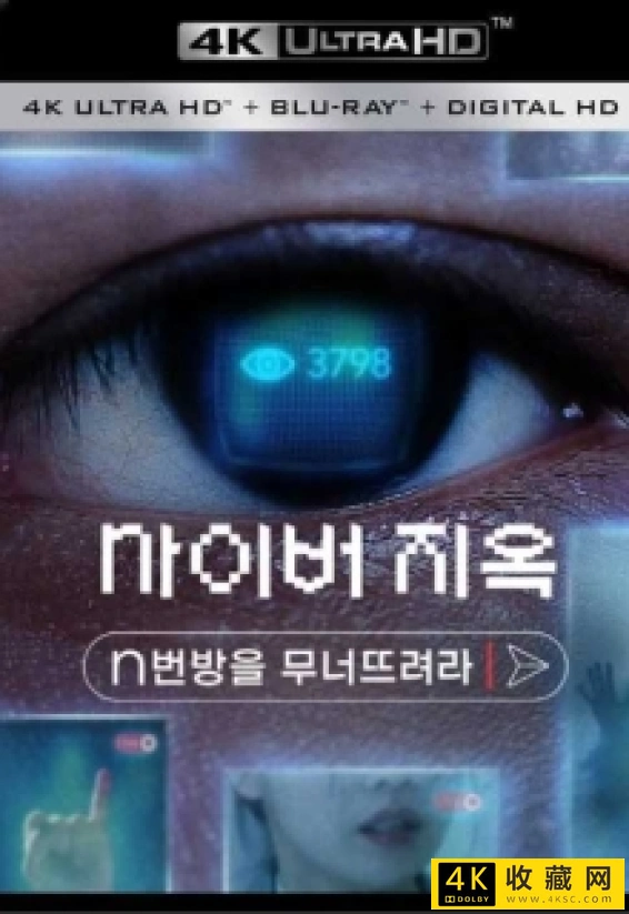 网络炼狱：揭发N号房4K.Cyber.Hell.Exposing.an.Internet.Horror.2022.KOREAN.2160p.NF.WEB-DL.x265.10bit.HDR.DDP5.1-4K电影