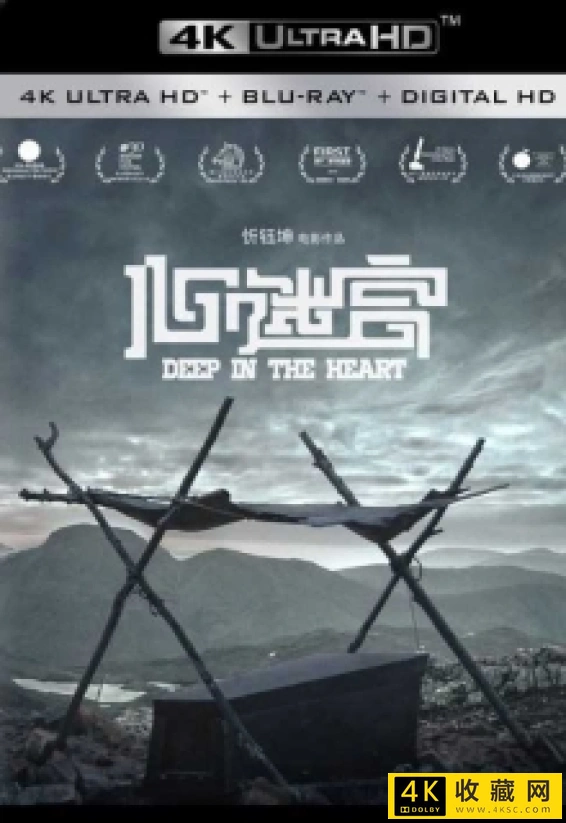 殡棺 / The Coffin in the Mountain / Deep in the Heart/心迷宫4k.Deep In The Heart 2014 2160p WEB-DL HEVC AAC-4k电影
