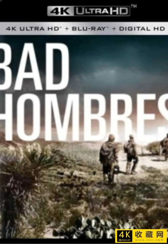 坏人4k.Bad Hombres 2020 2160p SHO WEB-DL DD 5.1 H 265-4k电影