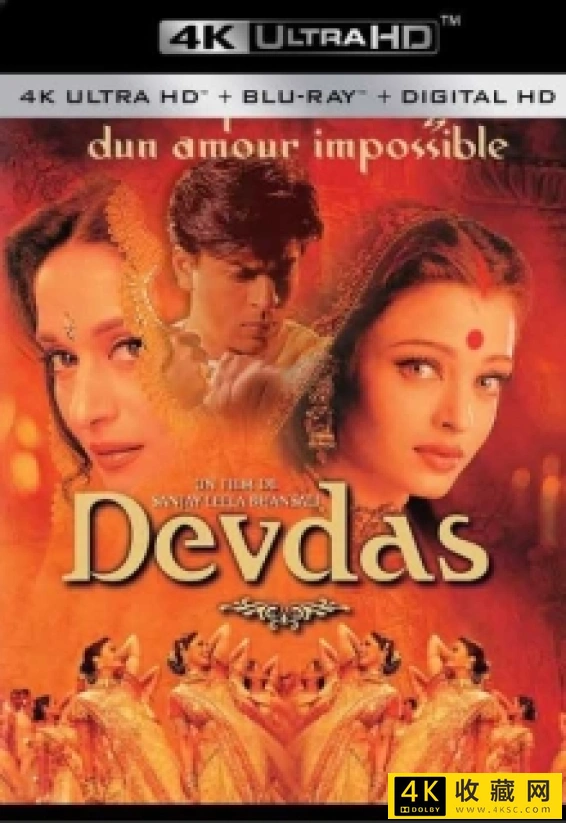 宝莱坞生死恋.Devdas.2002.2160p.WEB-DL.H265.DDP5.1-4K电影