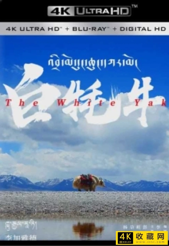 The White Yak/白牦牛4k.The White Yak 2019 2160p WEB-DL H265 DDP5.1-4k电影