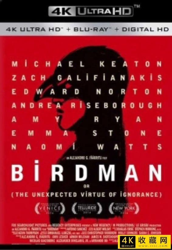 鸟人 4k.Birdman.2014.2160p.HQ.WEB-DL.H265.60fps.AAC-4k电影