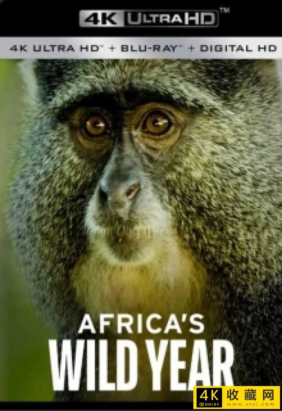 狂野非洲.第一季.Africas.Wild.Year.S01.2021.2160p.UHDTV.H265.AAC-4K电影纪录片