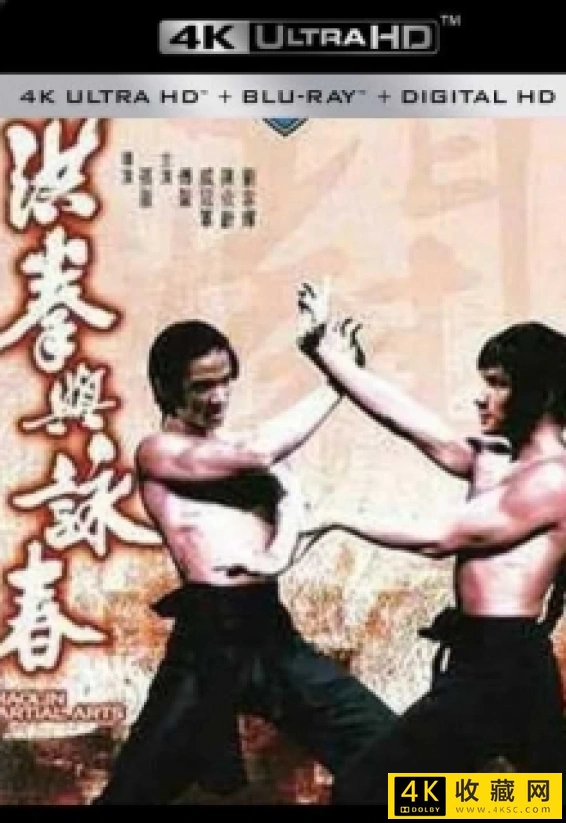 洪拳与咏春4k.Shaolin.Martial.Arts.1974.2160p.HQ.WEB-DL.H265.AAC-4k电影