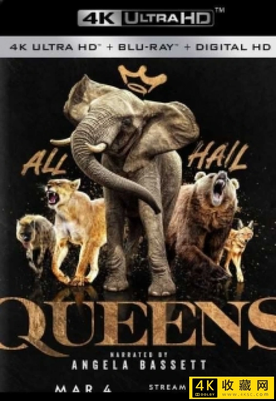 野性王后 第一季4k.Queens.S01.African.Queens.2160p.Disney+.WEB-DL.AAC.2.0.HDR10.H.265-4k纪录片
