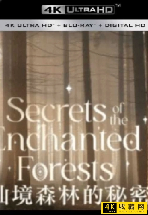 仙境森林的秘密.Secrets.of.the.Enchanted.Forests.S01.2023.2160p.UHDTV.H265.AAC-4k纪录片
