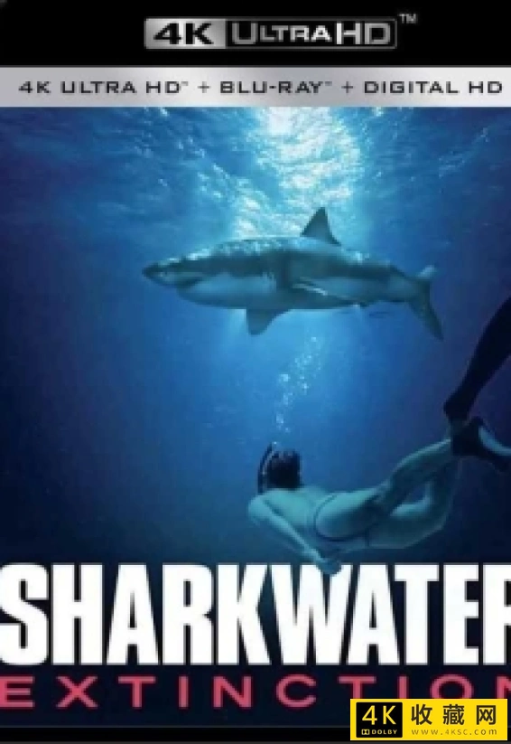 鲨鱼海洋：灭绝 4k Sharkwater.Extinction.2018.2160p.AMZN.WEB-DL.x265.8bit.SDR.DDP5.1—4k电影