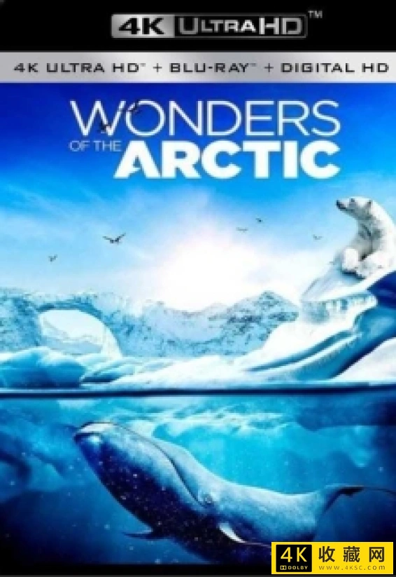 北极奇观/奇幻冰極 Wonders.of.the.Arctic.2014.DOCU.2160p.BluRay.x265.10bit.HDR.TrueHD.7.1.Atmos-4k纪录片